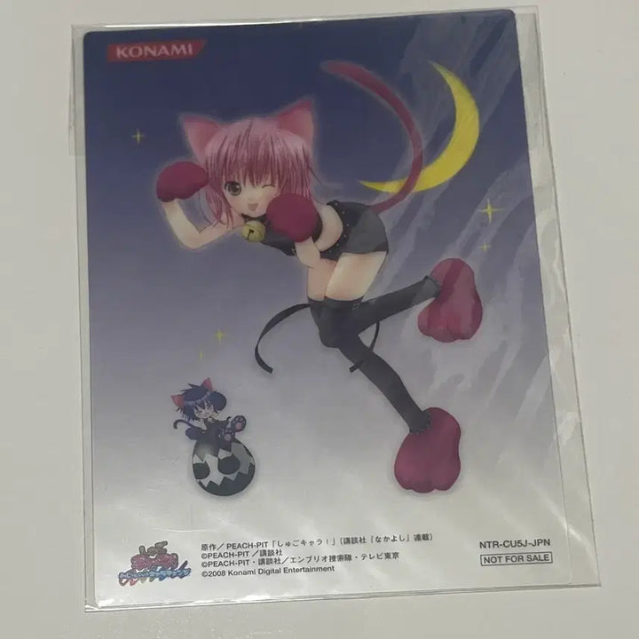 [BUNJANG] Character Transform! Nintendo Limited Edition Card Amulet / 캐릭캐릭체인지 닌텐도 한정 카드 미개봉