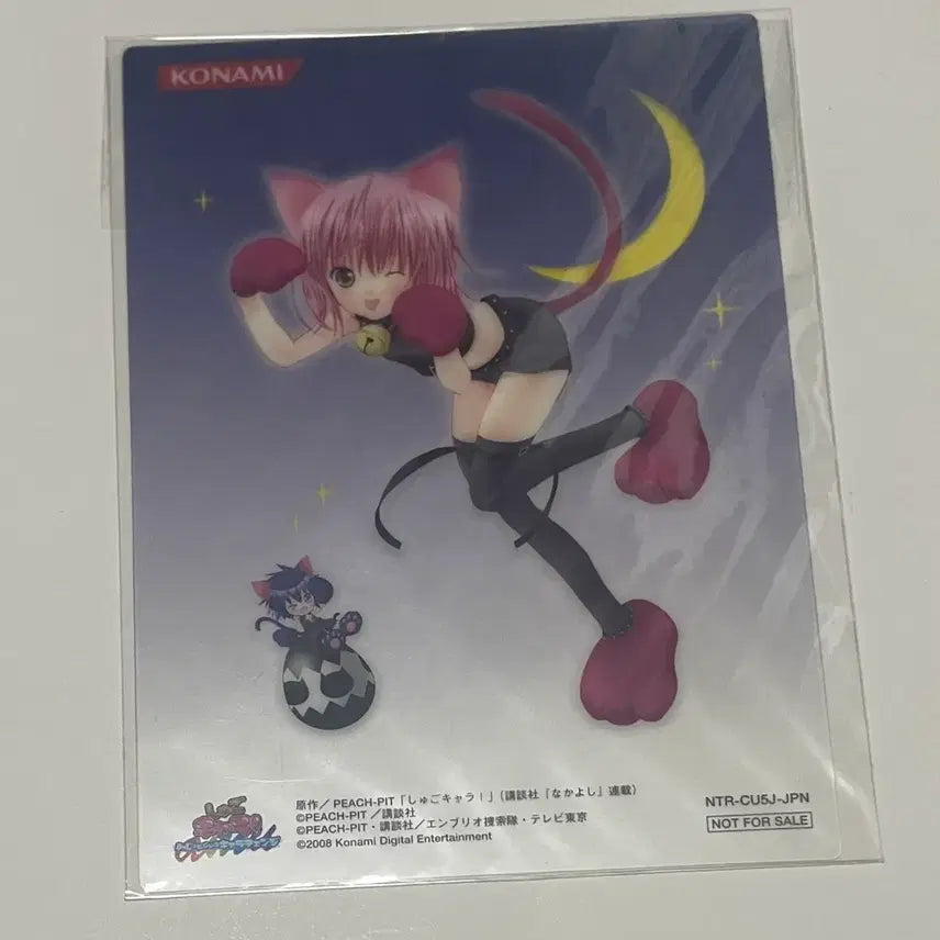 [BUNJANG] Character Transform! Nintendo Limited Edition Card Amulet / 캐릭캐릭체인지 닌텐도 한정 카드 미개봉