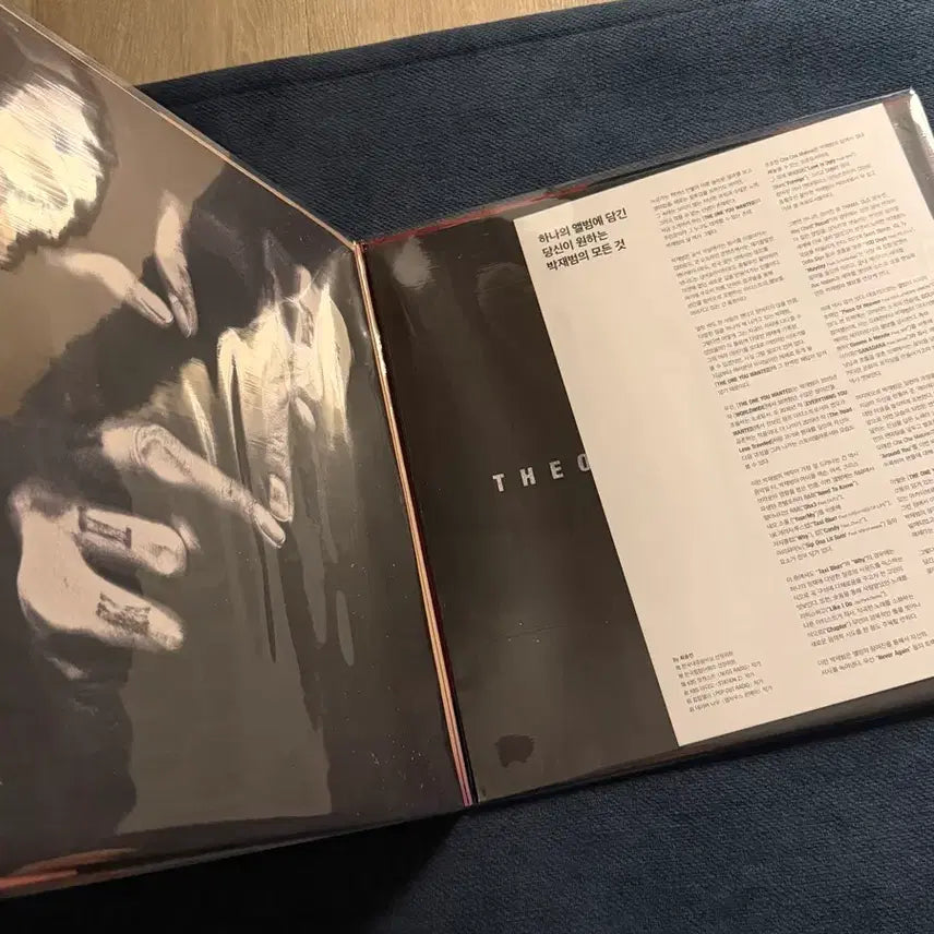 [BUNJANG] Jay Park theoneyouwanted LP Vinyl Record / Jaypark 박재범 theoneyouwanted LP