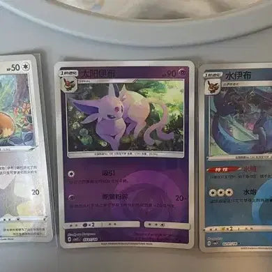 [BUNJANG] Pokemon Card Eevee Evolutions Set / 포켓몬 카드 이브이 진화 세트