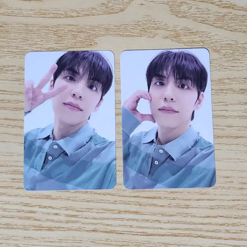 [BUNJANG] Day6 Busan Concert Bundle Set Wonpil Entry Photocard / 일괄) 데이식스 부산콘 입장포카 원필
