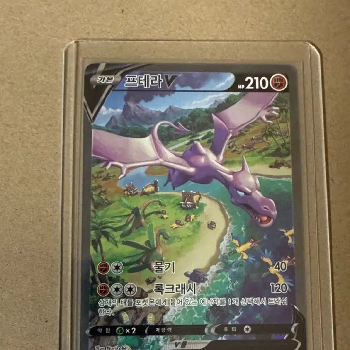 [BUNJANG] Pokemon Card Ptera V SR / 포켓몬 카드 프테라V SR s급