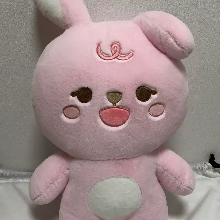 [SOLD OUT] 데이식스 원필 자이언트 쁘띠멀즈 필끼 급처