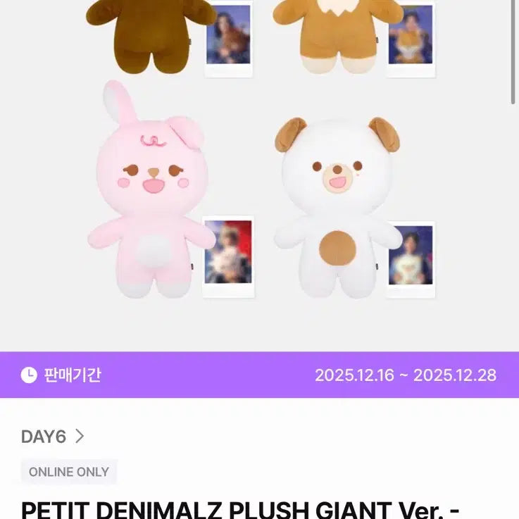 [SOLD OUT] 데이식스 원필 자이언트 쁘띠멀즈 필끼 급처