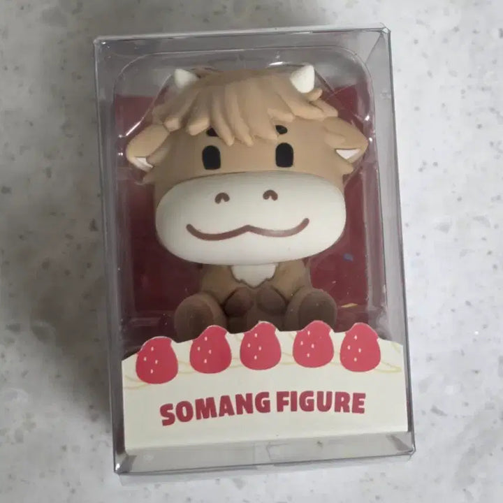 [BUNJANG] NFlying Yoo Hwe Seung &