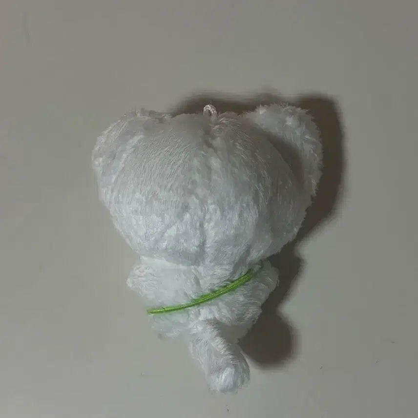 [BUNJANG] ENHYPEN Yang Jungwon Jung-nyang-ini Plush Doll / 엔하이픈 양정원 정원 정냥이니 인형 양도