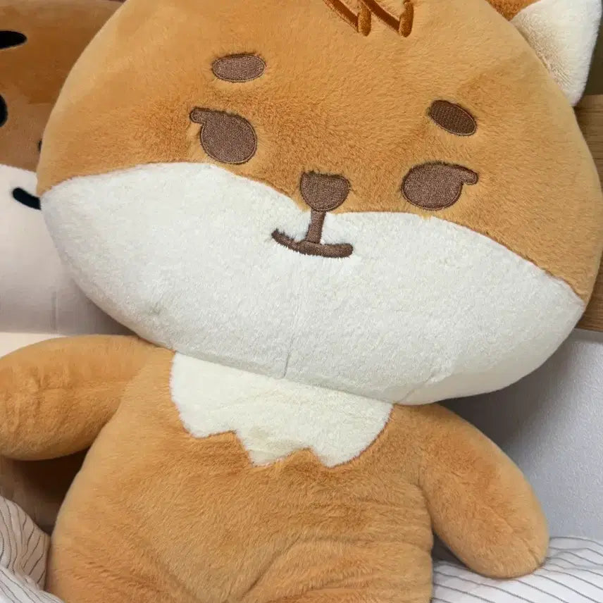[BUNJANG] Day6 Jamekk Pop Up Store Merch / 데이식스 자멀 케케 팝니다.