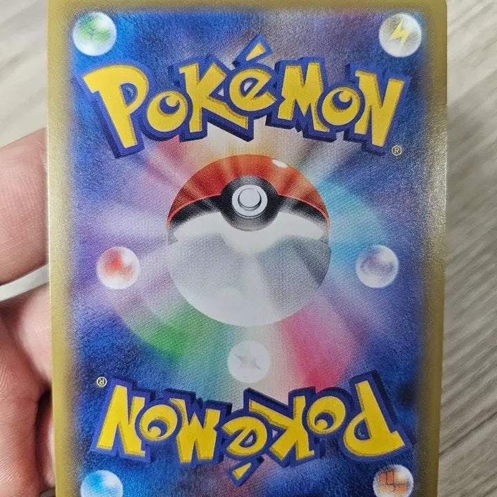 [BUNJANG] Pokemon Card Promo Hobba SR Japanese Edition / 포켓몬카드 프로모 호브SR 일판