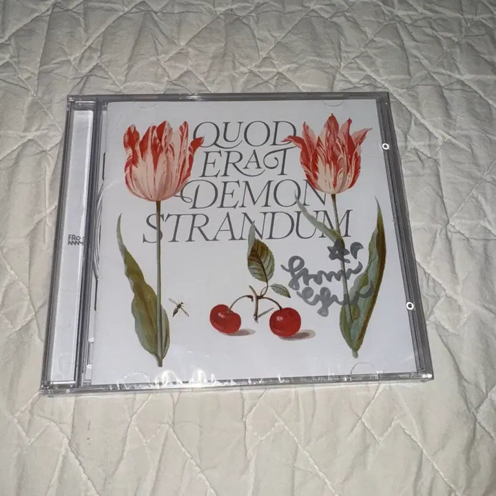 [BUNJANG] Q.E.D From Autographed CD / 프롬 Q.E.D 친필 싸인 CD