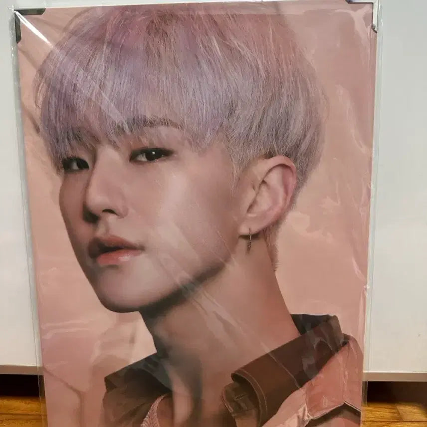 [SOLD OUT] 호시 스파이더 프리미엄 포토