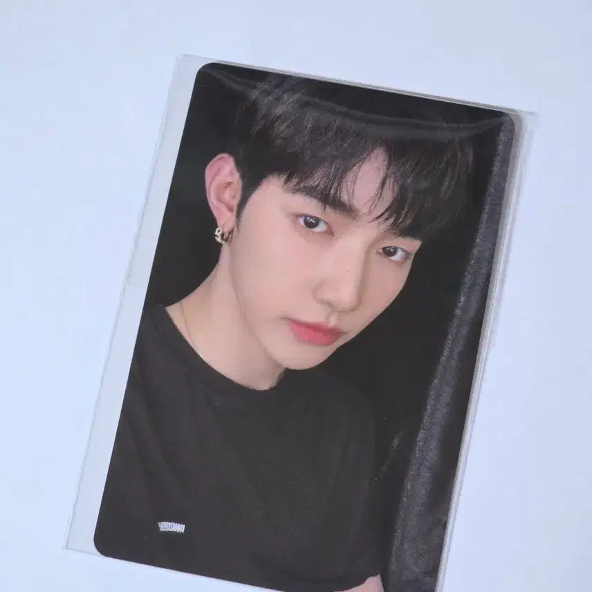 [BUNJANG] ZB1 Zhang Hao T-shirt Photocard / 앤더블 팝업 장하오 티셔츠 포카 포토카드