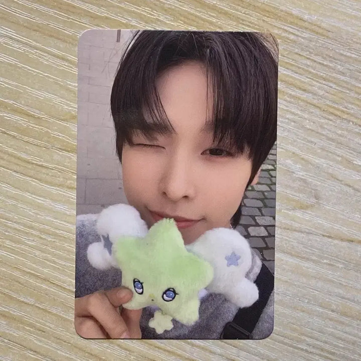 [BUNJANG] NCT WISH Riku Wichu Photocard / 엔시티위시 리쿠 위츄 포카 양도