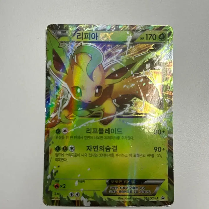 [BUNJANG] Pokemon Eevee Evolutions Card Set / [일괄] 포켓몬 이브이 진화