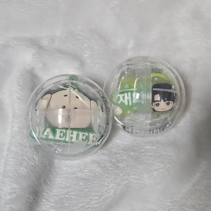 [BUNJANG] NCT WISH Bandai Mezurushi Gacha DDAENGTREEVER Jaehee Bundle Set / 엔시티 위시 반다이 메지루시 가챠 댕트리버 재희 풀셋