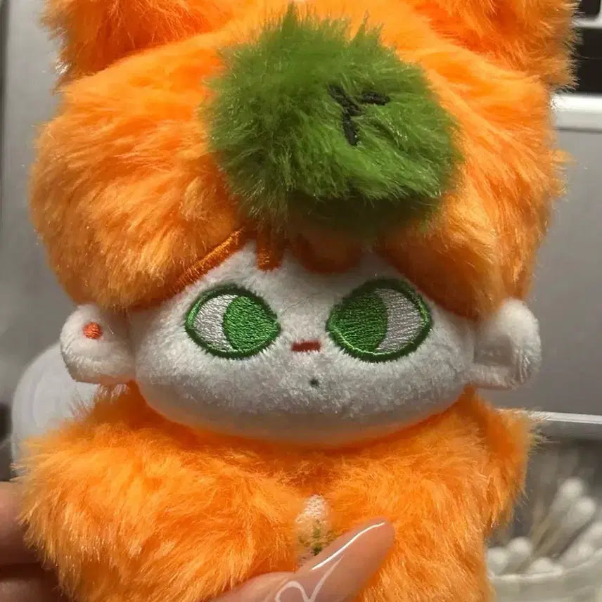 [BUNJANG] TREASURE Asahi Jjokkun Orange Plush Doll / 트레저 아사히 인형 orange 쫗쿤 asahi