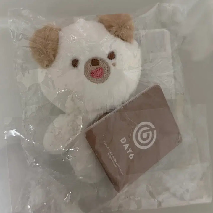 [BUNJANG] Day6 Petit Malz 10cm Doll Dowoon Donyi / (미사용) 데이식스 쁘띠멀즈 10cm 인형 도운 돈이 DON