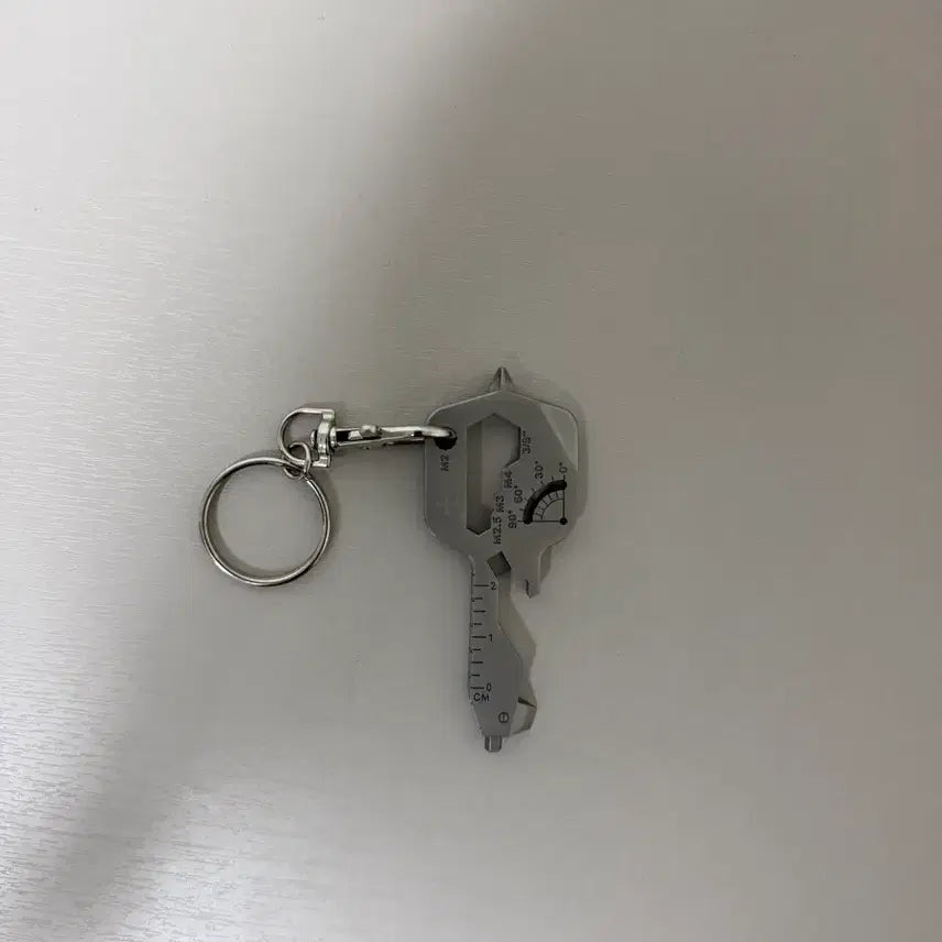 [BUNJANG] Sillygel Power Andre Concert Keychain / 실리카겔 파워앙드레 콘서트 키링