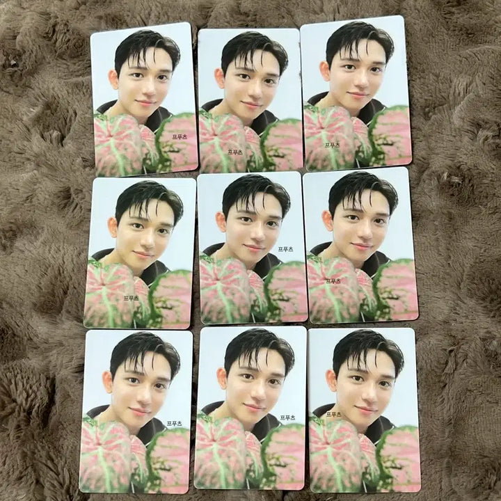 [BUNJANG] SMTOWN 30th Anniversary Lucas Bundle Set Photocard / <일괄> 루카스 2025 SMTOWN 30주년 패밀리 포카 포토카드