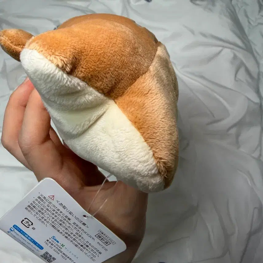 [BUNJANG] Chocola Mamegoma Plush 18cm / 초코마메고마 판매해용