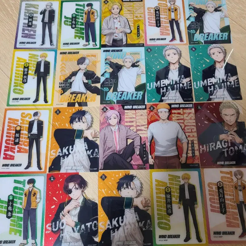[BUNJANG] Windbreaker Goods Bundle Set / 윈드브레이커 윈브레 굿즈