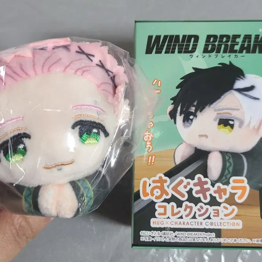 [BUNJANG] Windbreaker Goods Bundle Set / 윈드브레이커 윈브레 굿즈