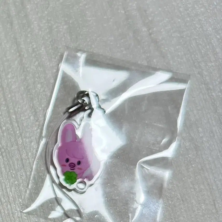[BUNJANG] Stray Kids Changbin Dwaekki Keyring Sealed / 스트레이키즈 스키즈 팬미팅 기프트 창빈 돼끼 키링 미개봉 양도