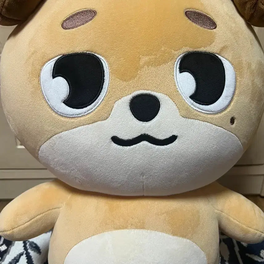 [BUNJANG] DAY6 Giant Denimals Don Plush / 데이식스 자이언트데니멀즈 돈