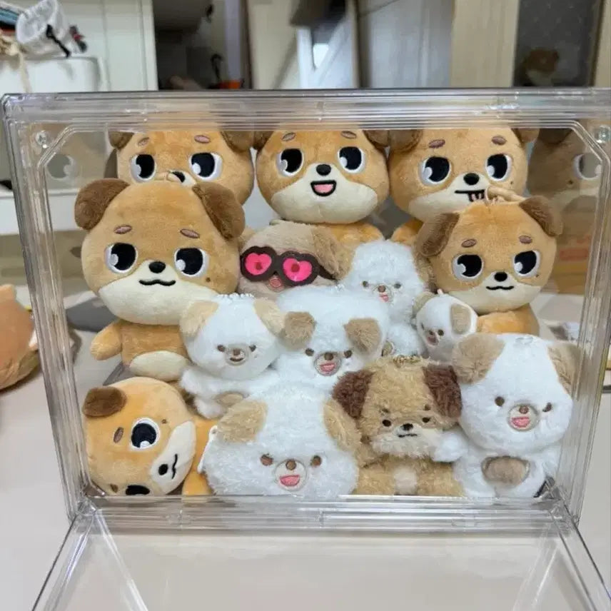 [BUNJANG] DAY6 Young K Petit Merz Plush Backpack / 데이식스 쁘띠멀즈 플러시 백팩 원가이하 - 돈, 도운