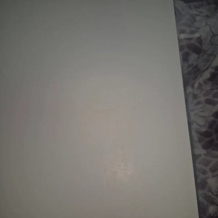 [BUNJANG] Evangelion Kaworu Ichiban Kuji F Prize Framed Art / 에반게리온 카오루 제일복권 F상