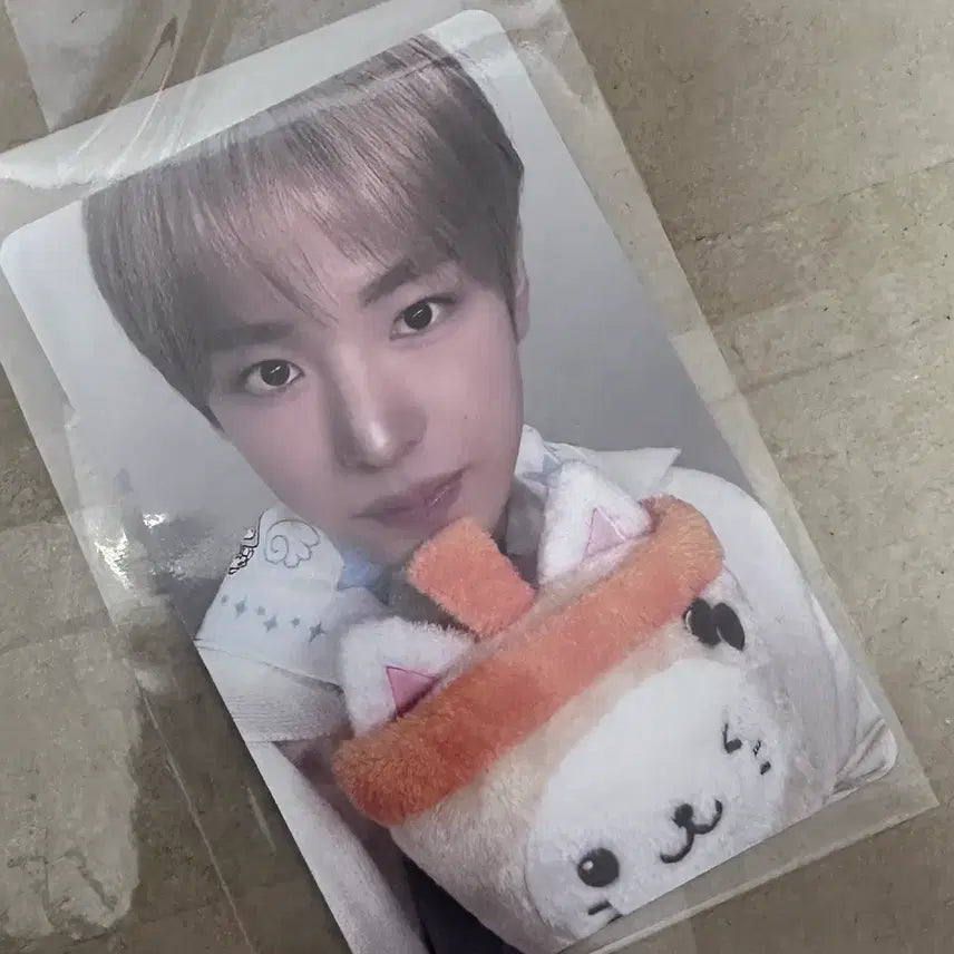 [BUNJANG] Wish Bakery Yushi Photocard / 위시베이커리 유우시 7만원 포카