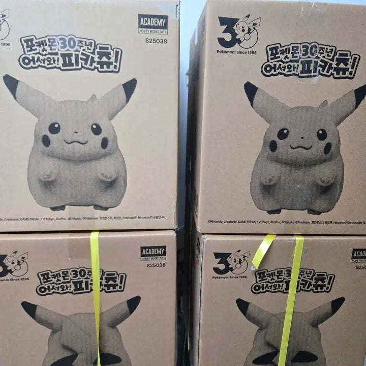 [BUNJANG] Pokemon 30th Anniversary Welcome Pikachu Unsealed Box / 포켓몬 30주년 어서와 피카츄 미개봉 판매합니다