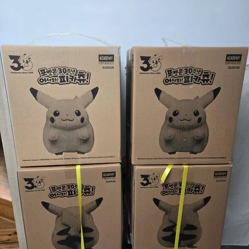 [BUNJANG] Pokemon 30th Anniversary Welcome Pikachu Unsealed Box / 포켓몬 30주년 어서와 피카츄 미개봉 판매합니다