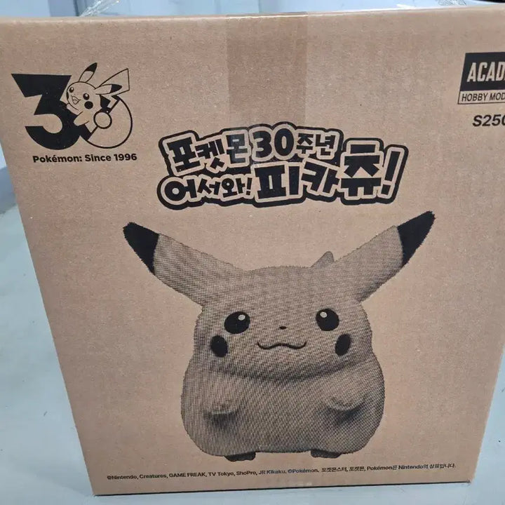 [BUNJANG] Pokemon 30th Anniversary Welcome Pikachu Unsealed Box / 포켓몬 30주년 어서와 피카츄 미개봉 판매합니다