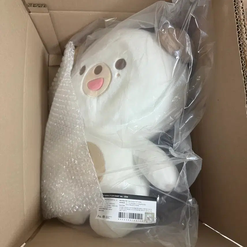 [BUNJANG] Day6 Giant Petit Merz Don Sealed Photocard / [미개봉,원가양도] 데이식스 자이언트쁘띠멀즈 돈