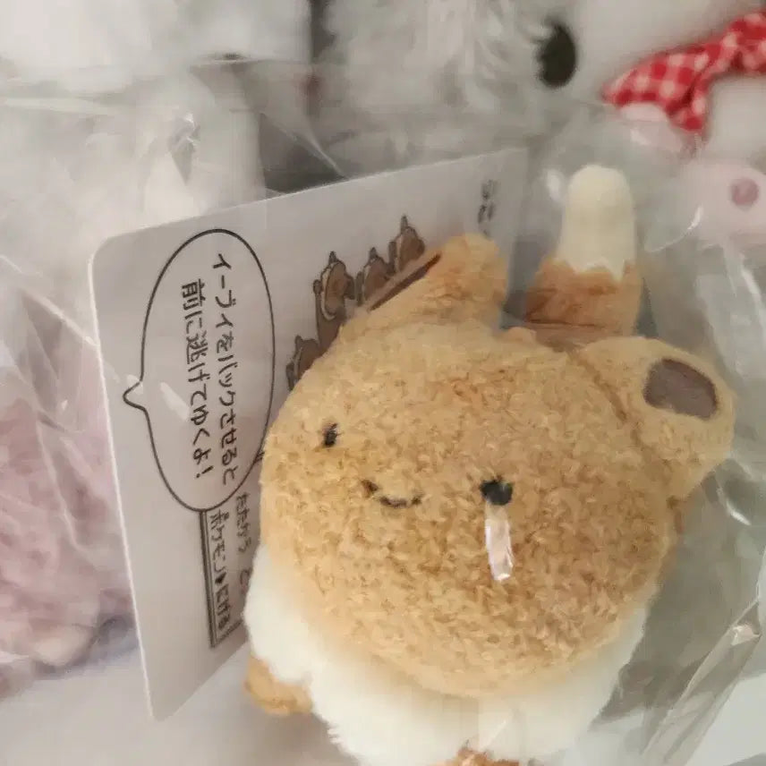 [BUNJANG] Pokemon Eevee Escape Series Pull-Back Car Plush Toy / 미개봉)포켓몬스터 이브이 도망 풀백카 인형 포켓몬센터 카드 피규어
