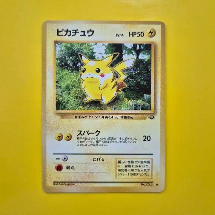 [BUNJANG] 1996 Pokemon Jungle Pikachu 1st Edition &