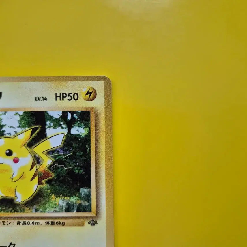 [BUNJANG] 1996 Pokemon Jungle Pikachu 1st Edition &