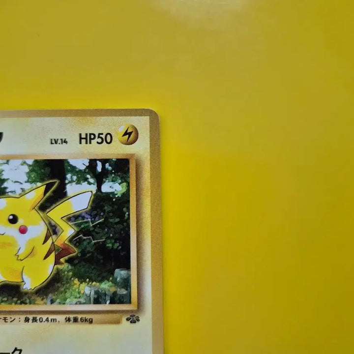 [BUNJANG] 1996 Pokemon Jungle Pikachu 1st Edition &