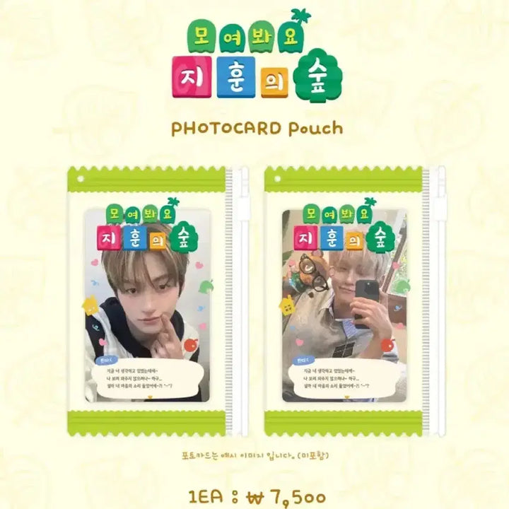 [BUNJANG] SEVENTEEN Jihoon Animal Crossing Photocard Pouch / 투어스 지훈 모동숲 포카 파우치 원가이하