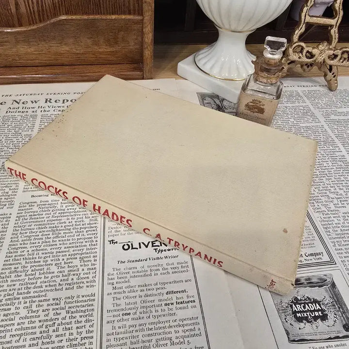 [BUNJANG] Vintage Antique Book Set (Set of 2) / 빈티지 앤틱 서적 책 세트 red
