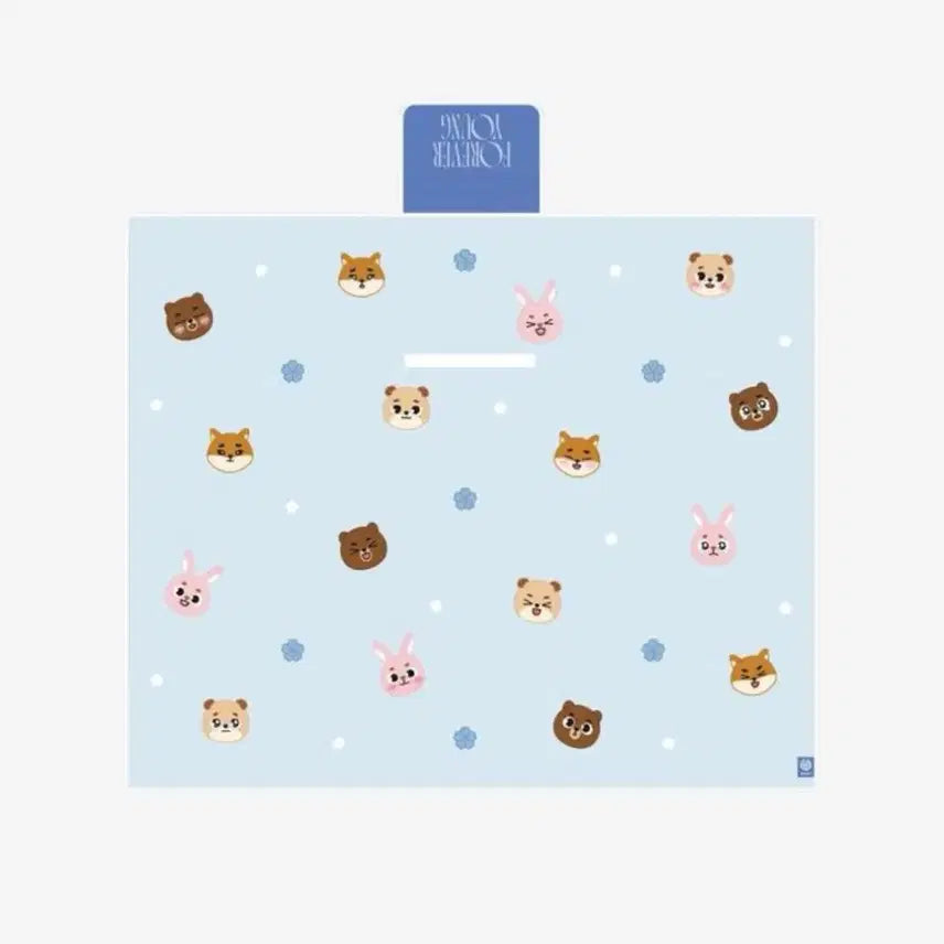 [BUNJANG] Day6 Picnic Mat Sealed New Product / 데이식스 피크닉매트 돗자리 미개봉 새상품
