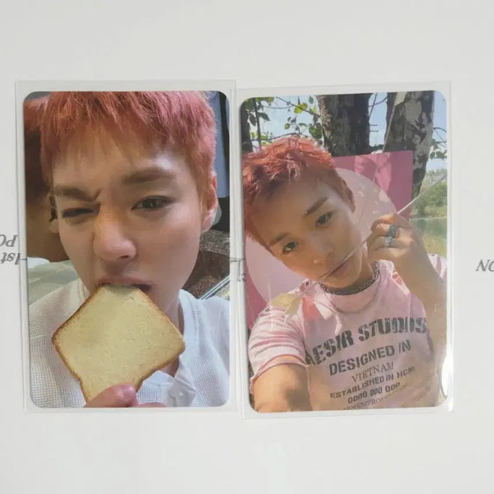 [BUNJANG] Park Ji Hoon Album Photocard Bundle Set / 박지훈 앨범 포카