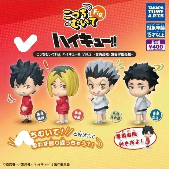 [BUNJANG] Haikyuu!! Kuroo Tetsuro Nekoma High School Figure / 하이큐 뒤를 돌아봐 네코마 쿠로오 피규어