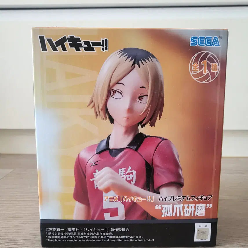 [BUNJANG] Haikyuu!! Haikyu!! Kenma Segawa Figure (Sealed) / [미개봉][택포 2.0] 하이큐 켄야 세가 피규어