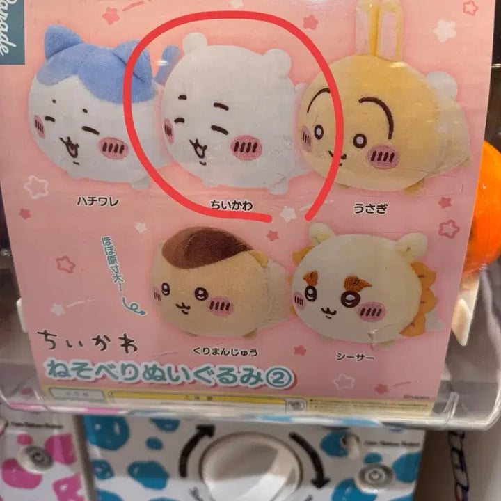 [BUNJANG] Chiikawa Nesoberi Plush Doll (2nd Edition) / 치이카와 네소베리 인형 2탄 가챠