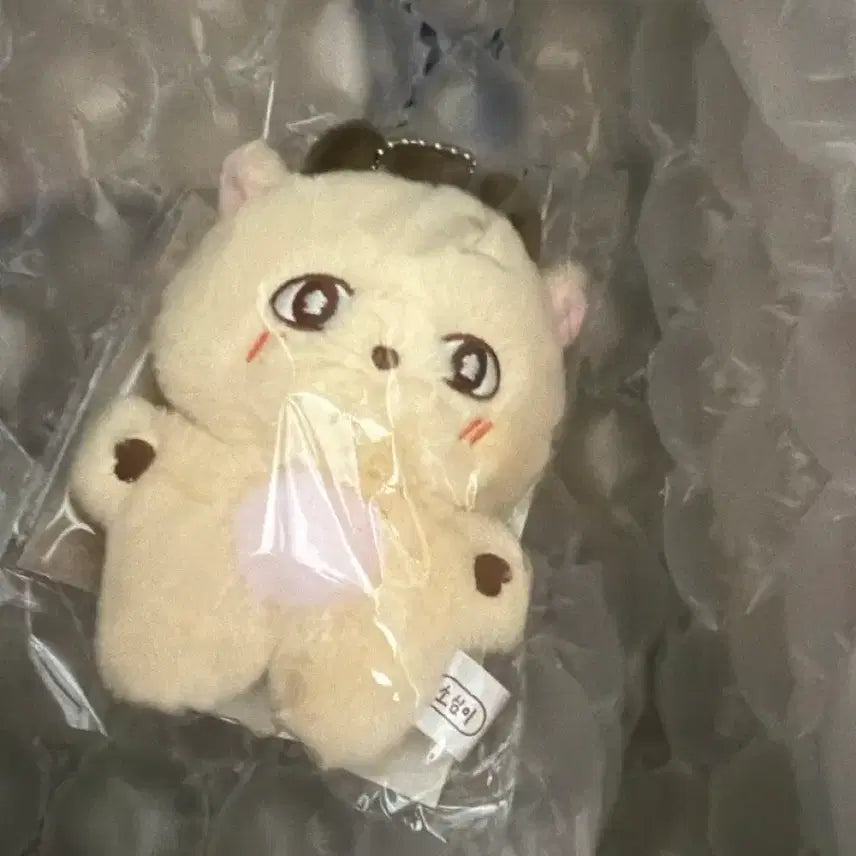 [SOLD OUT] 박지훈 미개봉 인형 소심이 원가 양도 포카 포함 메이