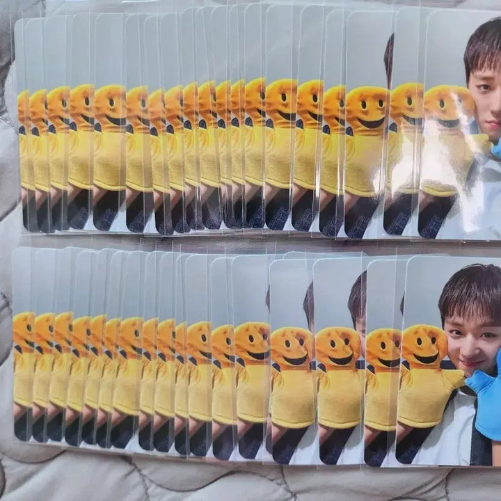 [BUNJANG] Park Ji-hoon Reflect Album Withmuu Soundwave POB Photocards / 박지훈 리플렉트 앨범 위드뮤 사운드웨이브 대면 미공포