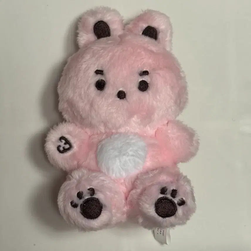 [BUNJANG] Day6 Wonpil Bunny Doll Kongpiri / 데이식스 원필 토끼 인형 콩피리 양도