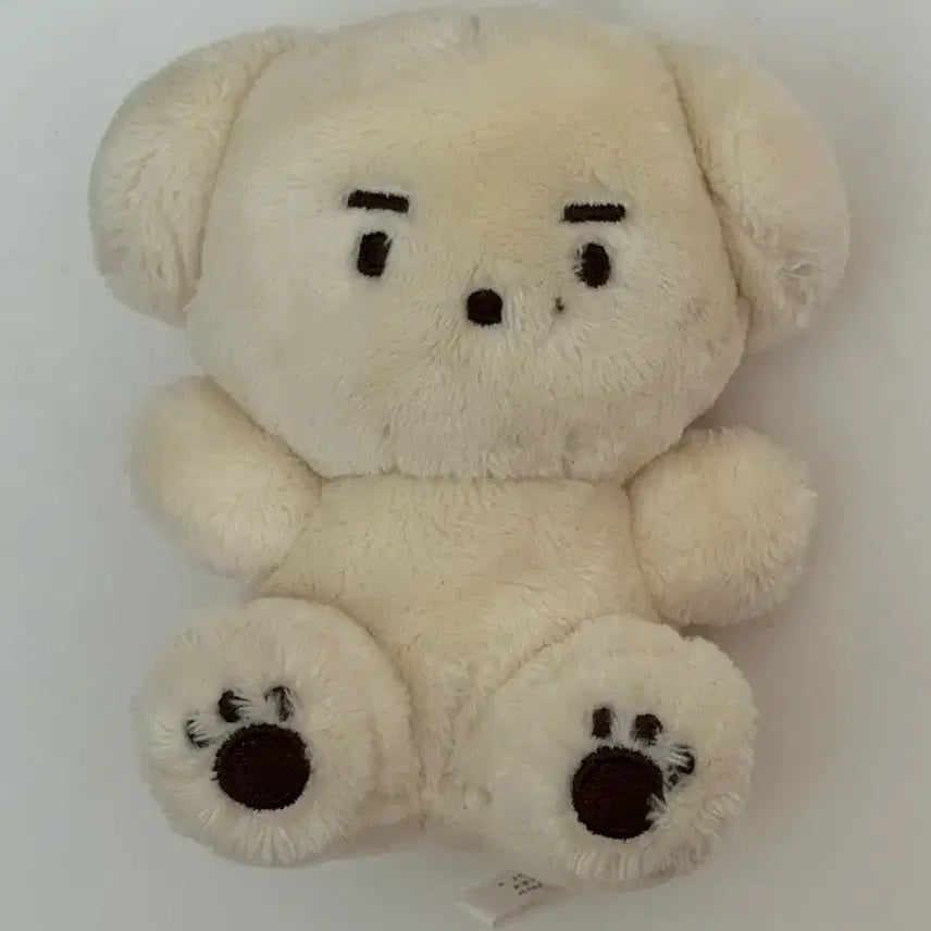 [BUNJANG] DAY6 Dowoon Dog Plush &