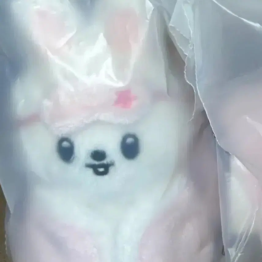 [BUNJANG] Stray Kids Skiz Plush 10cm Ribbit / 스키즈 팬미팅 스키주 플러시 10cm 리빗